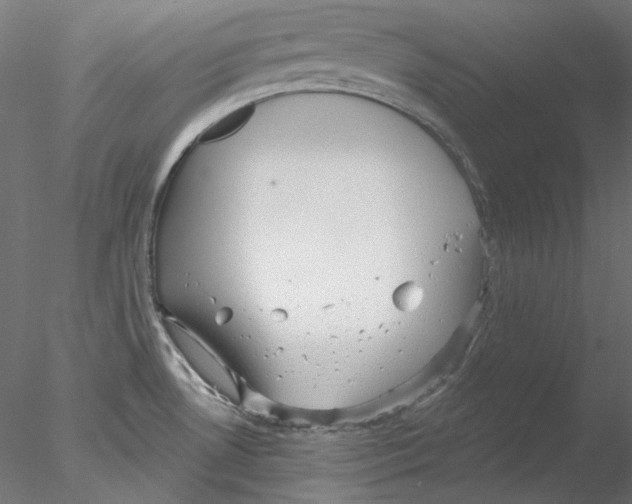 X0000076381530200611031616