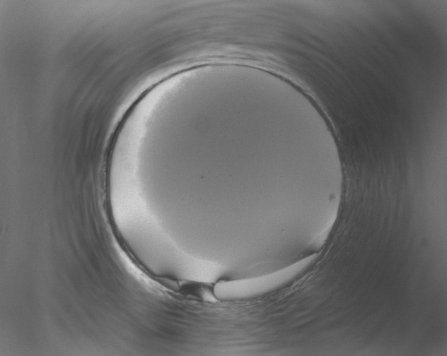 X0000076381531200611031616