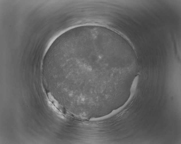 X0000076381532200611031616