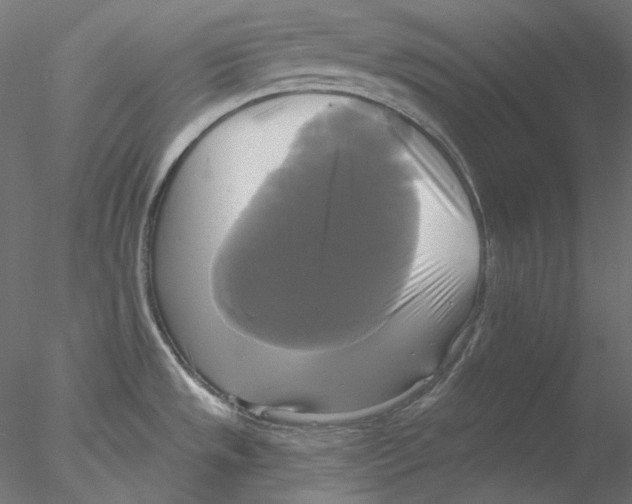 X0000076381533200611031616