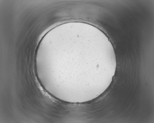 X0000076381534200611031616