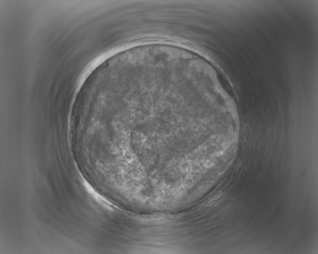 X0000076381535200611031616