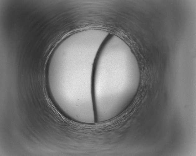 X0000076390002200610060916