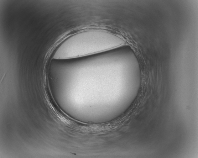 X0000076390005200610060916