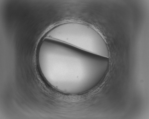 X0000076390008200610060915