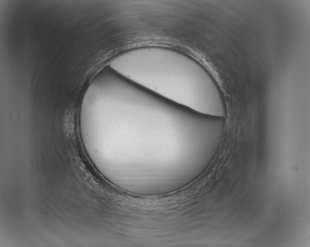 X0000076390010200610060915