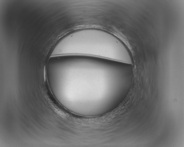 X0000076390013200610060915
