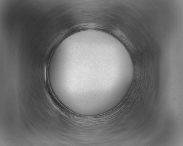 X0000076390014200610060915