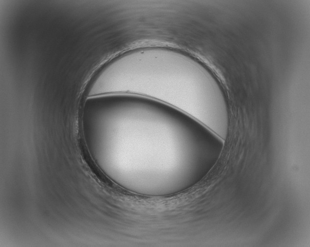 X0000076390015200610060915