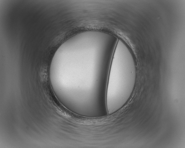 X0000076390017200610060915