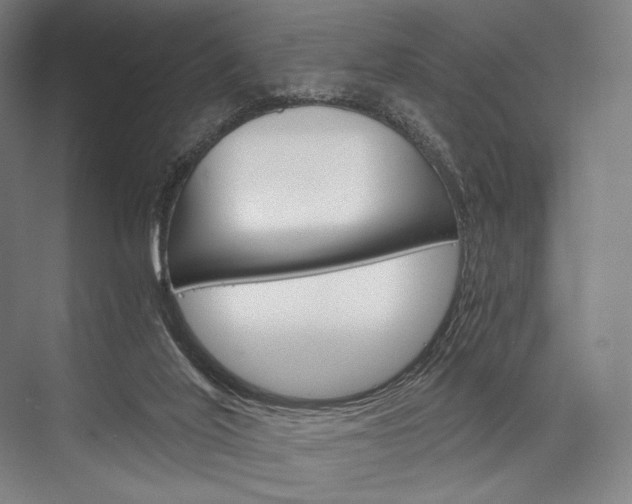 X0000076390020200610060915