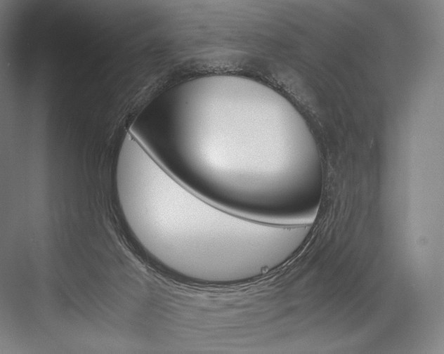 X0000076390021200610060915