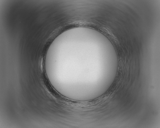 X0000076390024200610060915