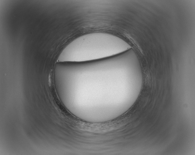 X0000076390026200610060915