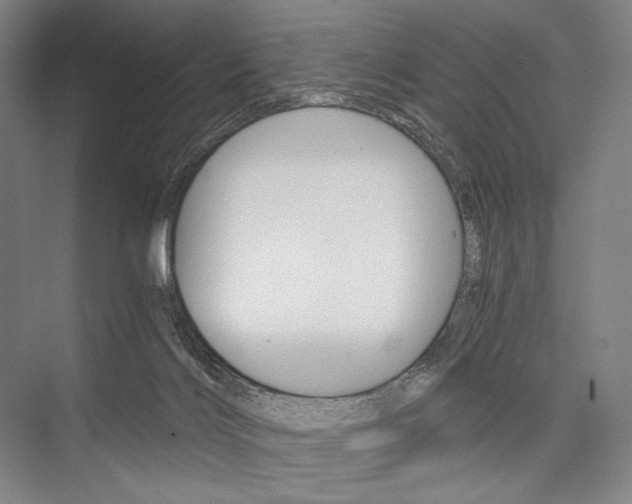 X0000076390028200610060915