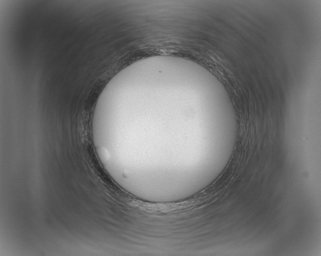 X0000076390030200610060915