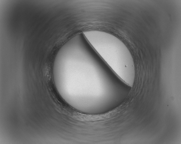 X0000076390031200610060915