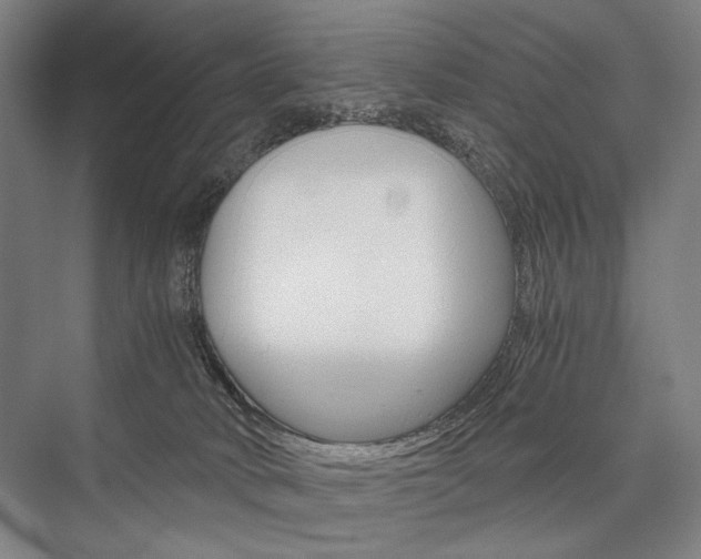 X0000076390034200610060915