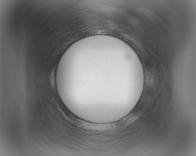 X0000076390036200610060915