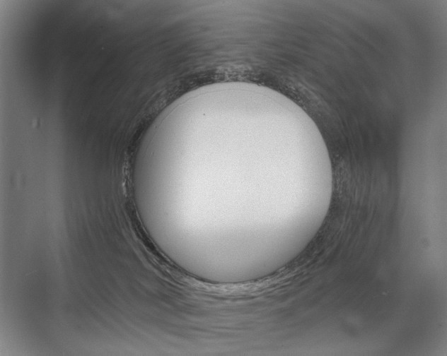 X0000076390038200610060915