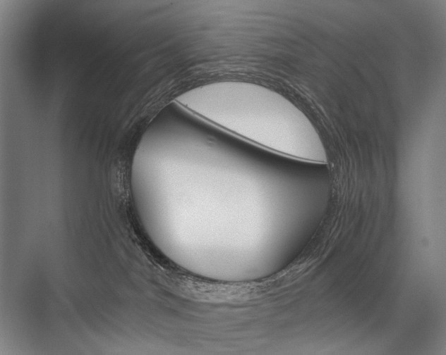 X0000076390044200610060915