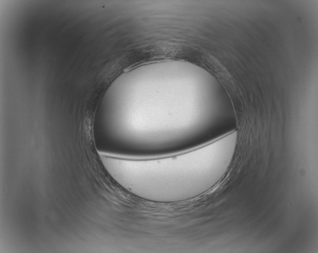 X0000076390045200610060915