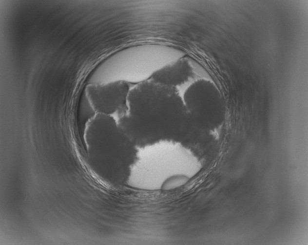 X0000076390049200610060914