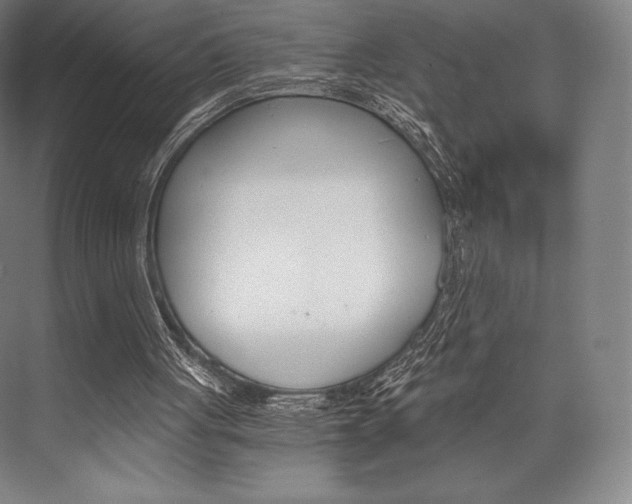 X0000076390051200610060914