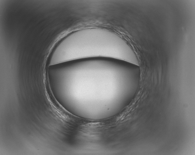 X0000076390054200610060914