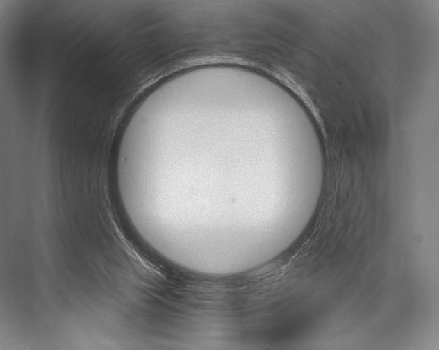 X0000076390063200610060914