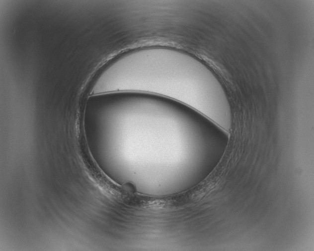 X0000076390064200610060914