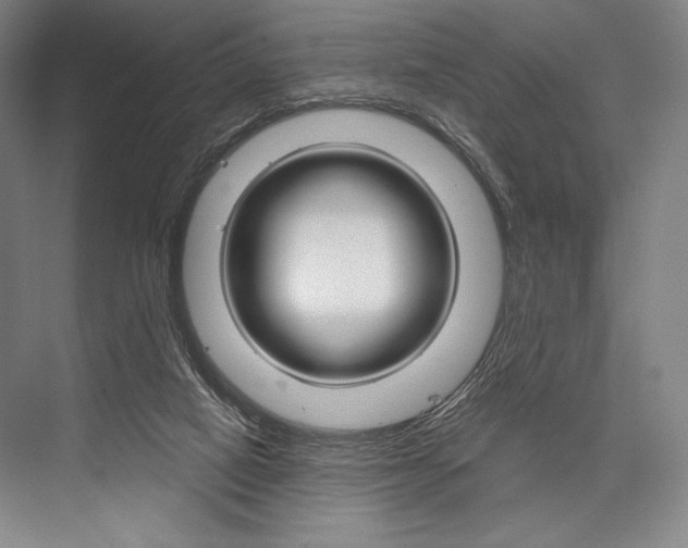 X0000076390066200610060914