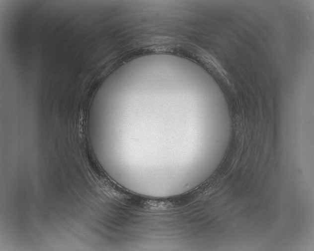 X0000076390073200610060914