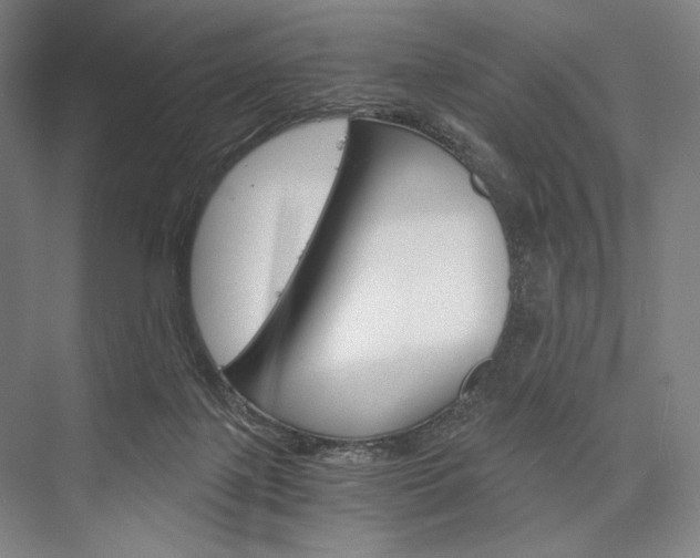 X0000076390075200610060914