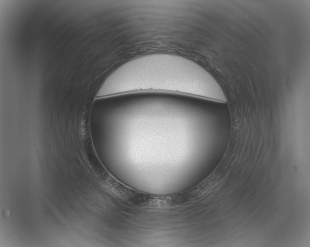 X0000076390080200610060915
