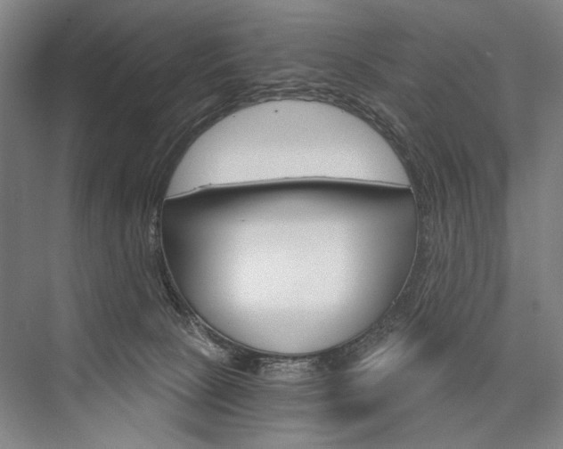 X0000076390081200610060915