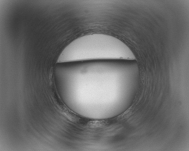 X0000076390082200610060915
