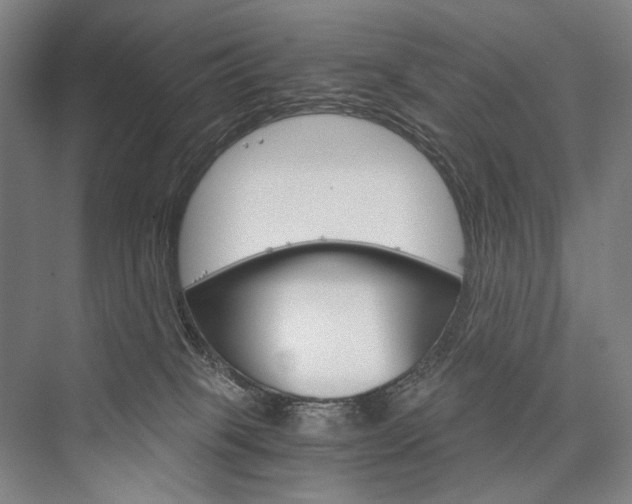 X0000076390085200610060915