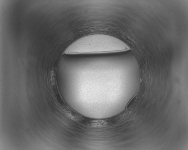 X0000076390087200610060915