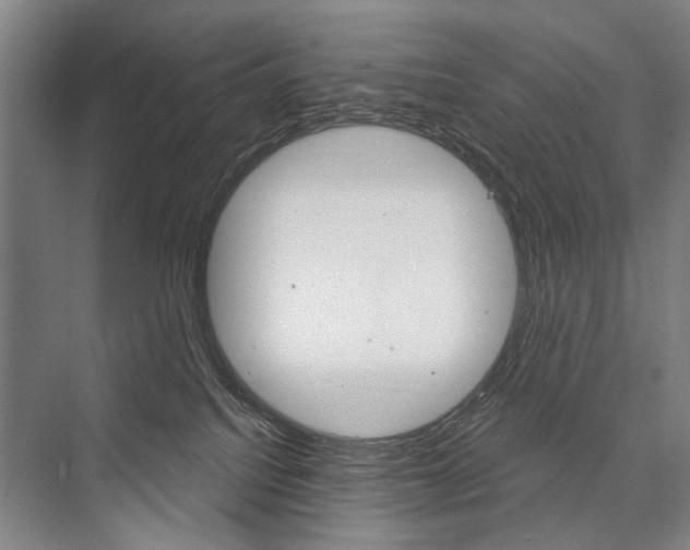 X0000076390088200610060915