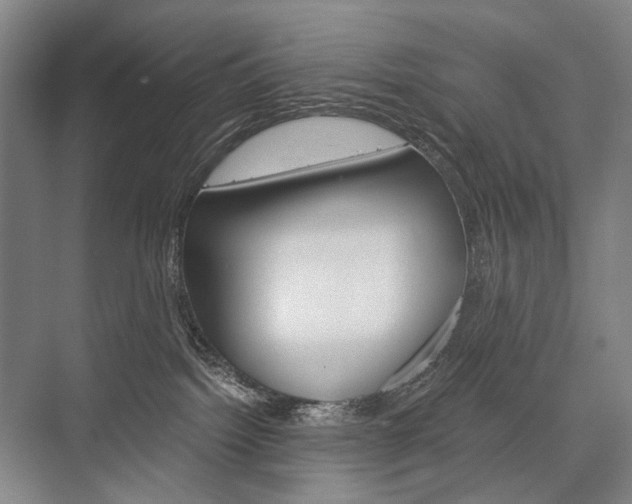 X0000076390092200610060915