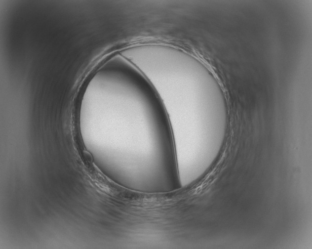 X0000076390103200610060914