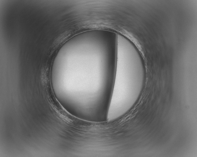 X0000076390105200610060914