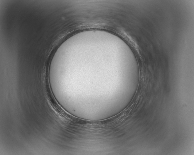 X0000076390107200610060914