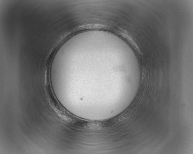 X0000076390110200610060914