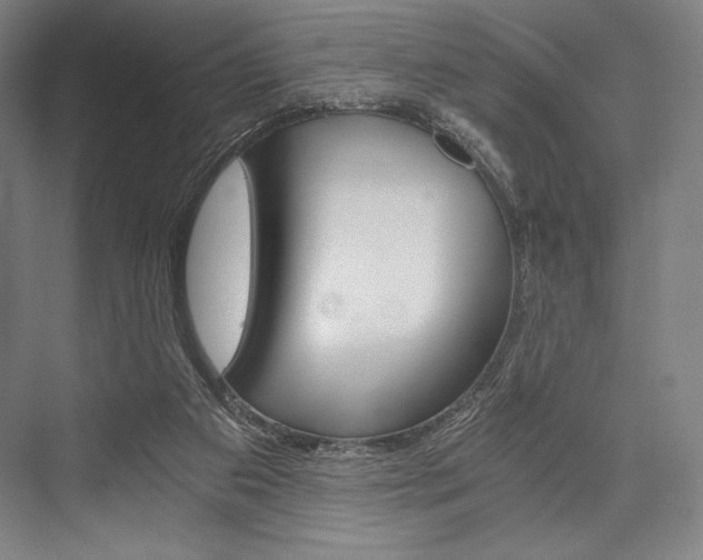 X0000076390113200610060914