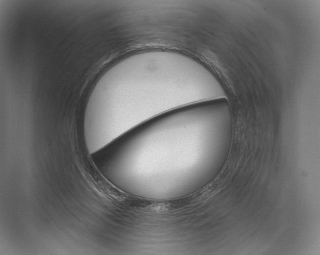 X0000076390116200610060914