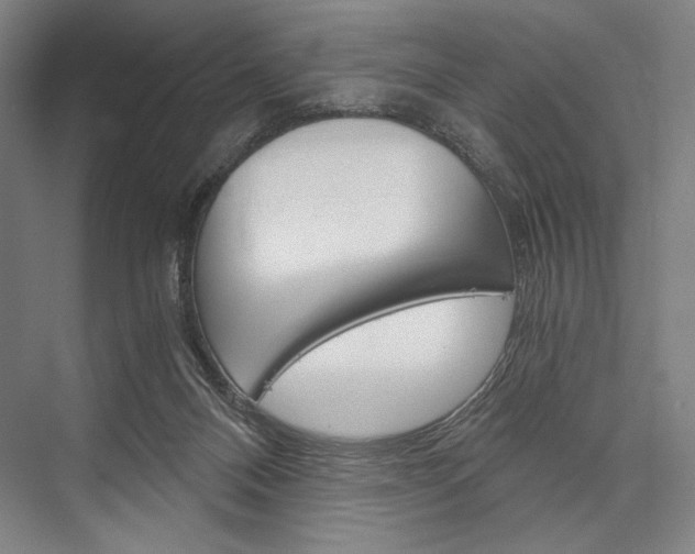X0000076390120200610060914