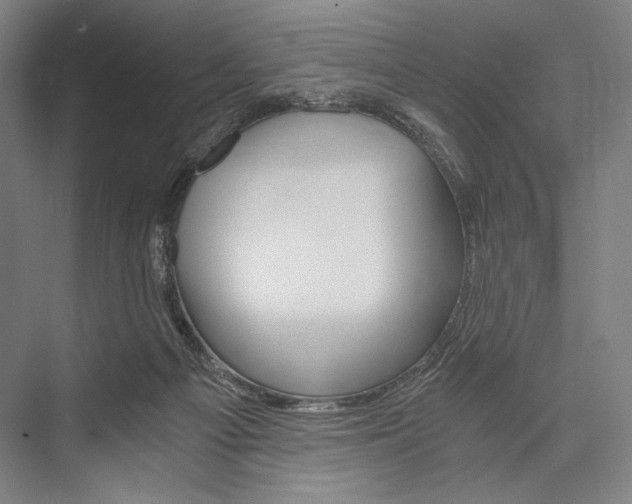 X0000076390121200610060914