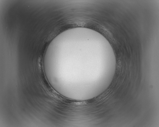 X0000076390122200610060914